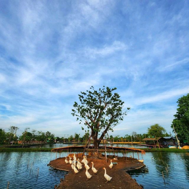 ร้านอาหารอร่อยบรรยากาศ​ดี​ มีกิจกรรม​พร้อม
