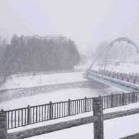 北海道白金溫泉