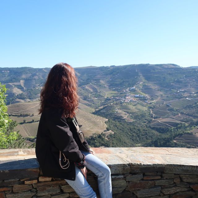 포트와인의 산지, 도우루 밸리로 떠나는 여행🇵🇹🍷