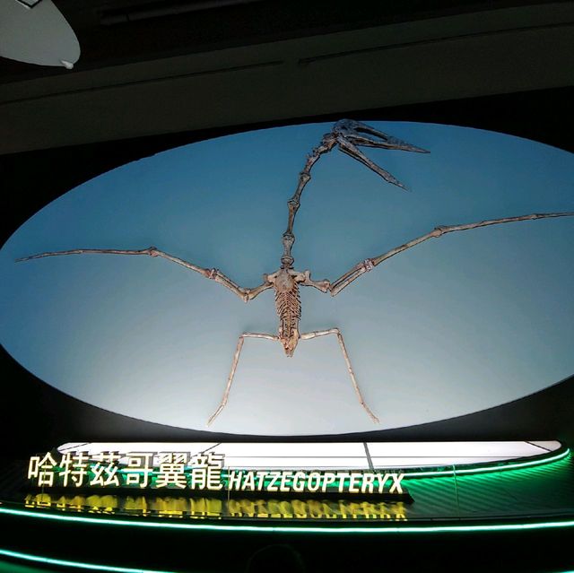 到此一遊之🦖恐龍展🦕(展期延至22/2）