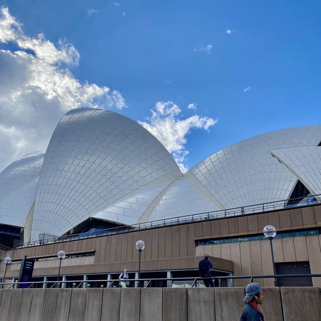 One of the best view in Sydney Harbour
