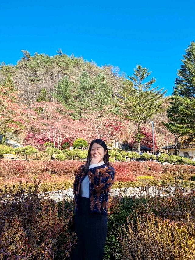가을의 연못을 담아요