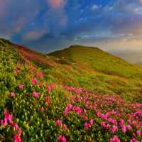 Beautiful Places in the World 🌍