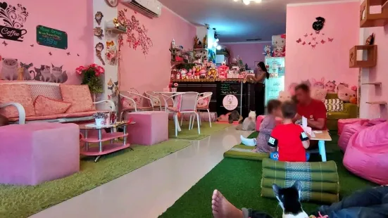 Neko Cat Cafe Phuket