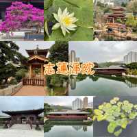 靜心之旅🫶🏻鑽石山志蓮淨院