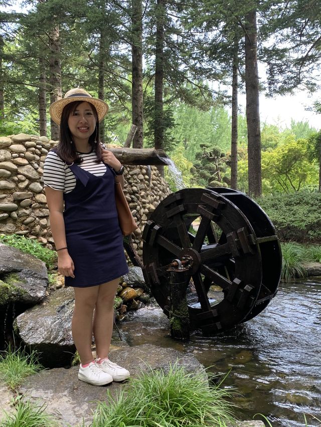 南怡島 景色怡人😘