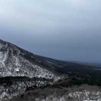 새해엔 한라산의 겨울 산행이죠🥹💙☃️
