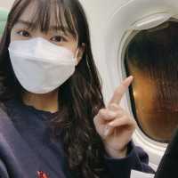 [paris] transavia 항공 후기  