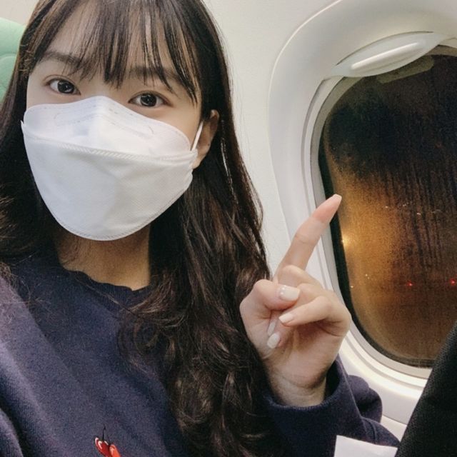 [paris] transavia 항공 후기  