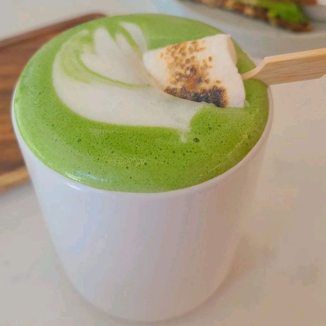 🍁FALL-ing for Matcha 🍵