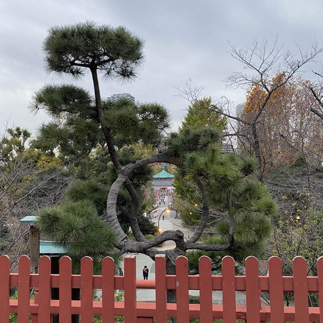 Ueno Park in Japan! 🇯🇵 