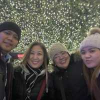 Winter Village Distillery District TO