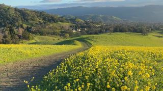 Sunset hiking in the beautiful wild flower 