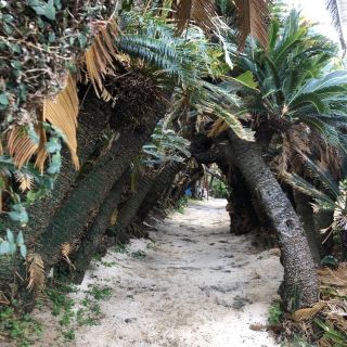 Tokunoshima Island is rich in nature
