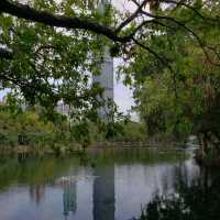 Beautiful Shenzhen Park 