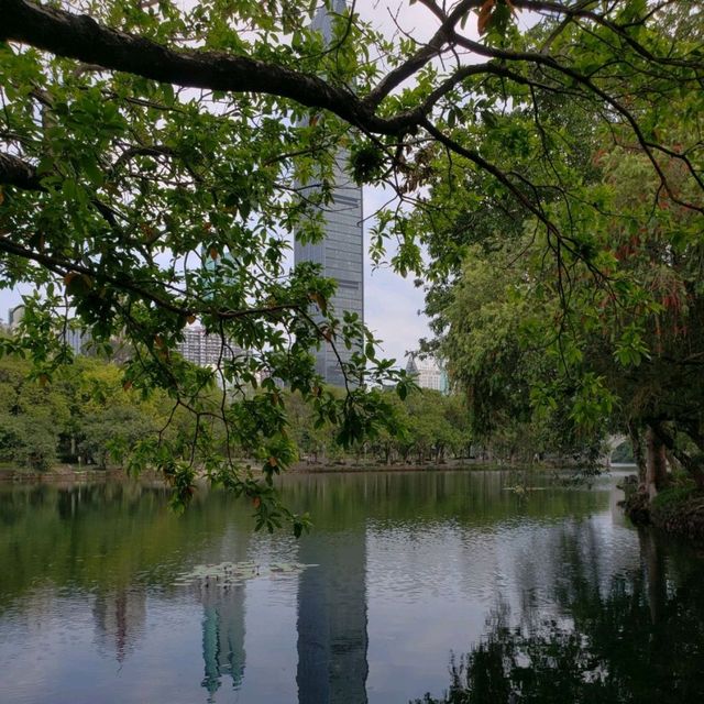 Beautiful Shenzhen Park 