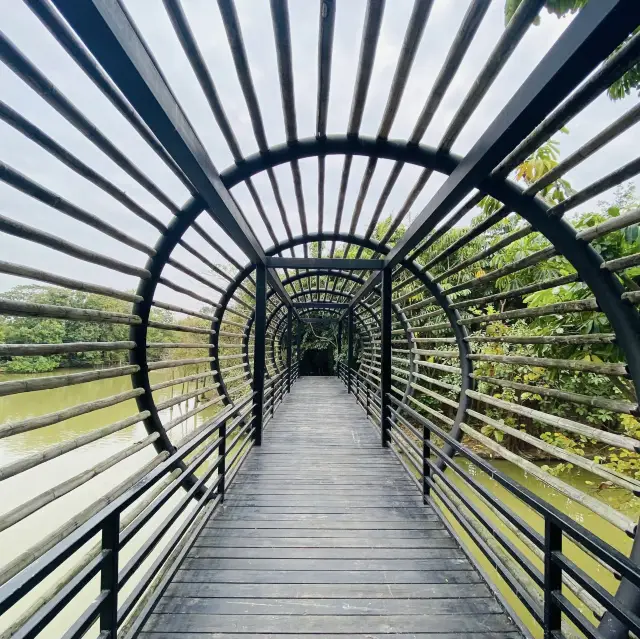 觀鳥賞荷葉好去處-南沙溼地公園