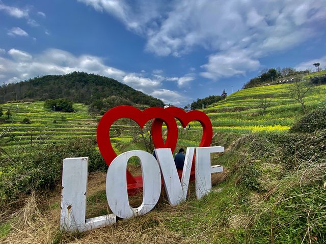 Rape Seed Flowers in Minshengcun, Pujiang