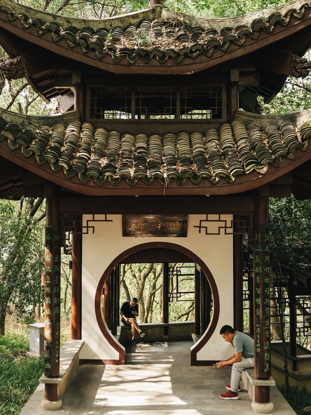 Lush Green Park on a hill in Hangzhou 🌳🌿🌸