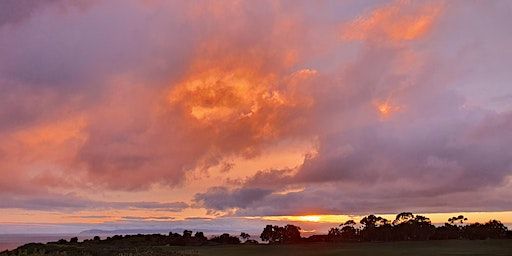Cloudspotting with the Cloud Appreciation Society (Los Angeles) | Mark Taper Auditorium - Central Library