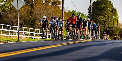 Trek Century Of The Month - Arlington | Trek Bicycle Arlington South