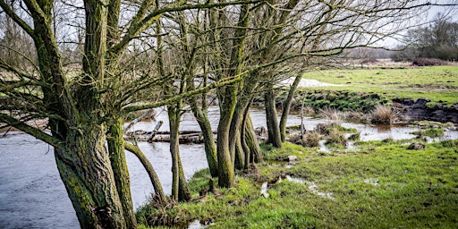 Groepswandeling Hamont Achel | Achelse Kluis