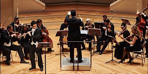 Concert des Premiers violons de l'Orchestre de chambre de Lituanie | Fondation Vasarely