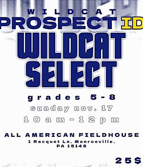 Wildcat Select Prospect ID | ALL AMERICAN+ Field House