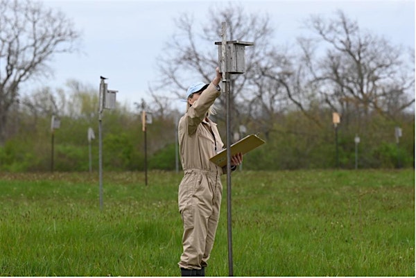 How to NestWatch | Norman Bird Sanctuary