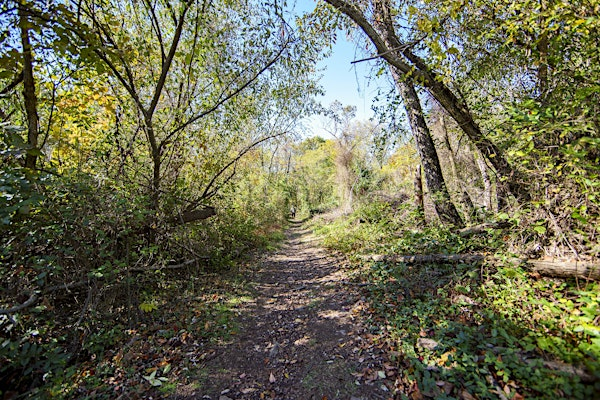 Morning Meandering: Kellys Run Nature Preserve | Kellys Run Nature Preserve