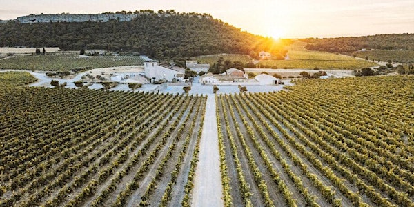 Best of France featuring Gerard Betrand | Everything Wine