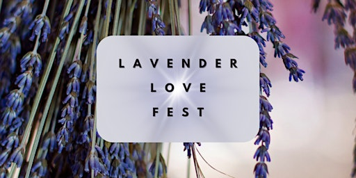 Lavender Love Fest: Full Day Re-TREAT | Erin