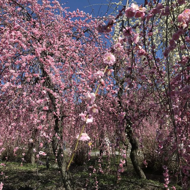 三重県　いなべ市農業公園