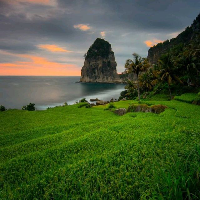 PANGASAN BEACH, PACITAN