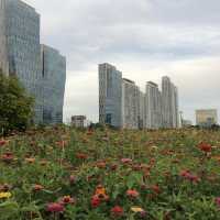 송도 센트럴파크