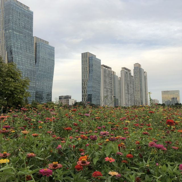 송도 센트럴파크