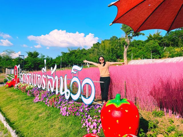 ไร่สตรอเบอรี่ล้านวิว🍓🍓🍓