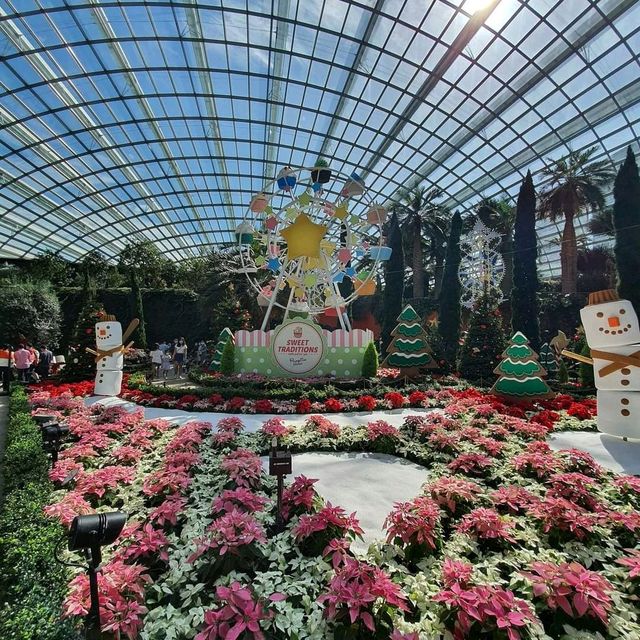 Flower Dome, Christmas Edition
