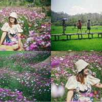 โฮมสเตย์บ้านนาต้นจั่น  