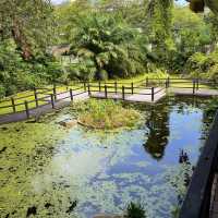 Ridout Tea Garden Singapore 