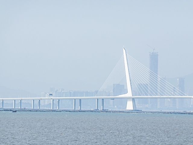 最美海景 下白泥