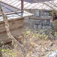 大菩薩峠道中の富士見山荘
