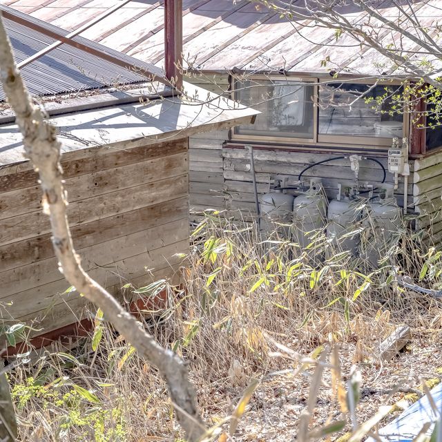大菩薩峠道中の富士見山荘