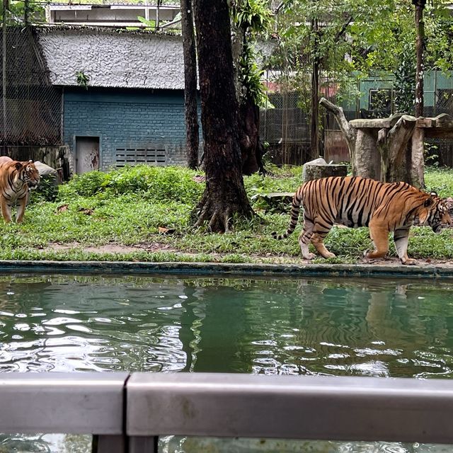 Malaysia National Zoo