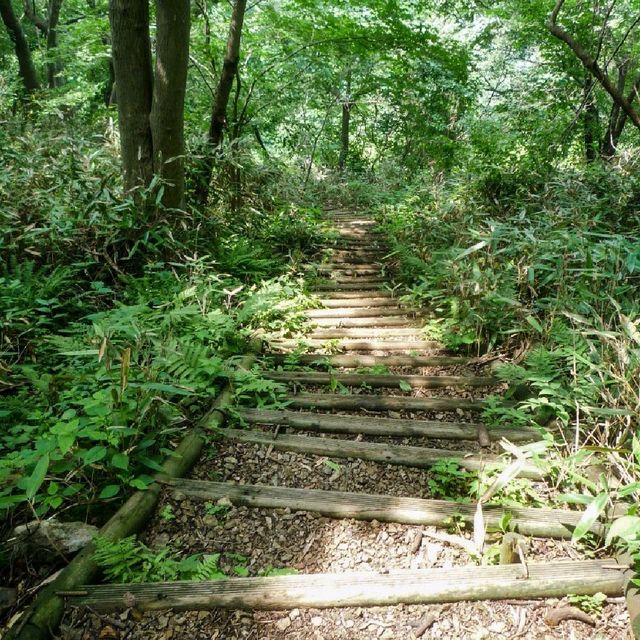 무주 백암산 상왕봉등산