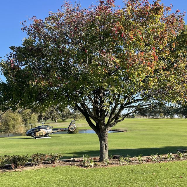 Autumn in the vineyard at Sandalford Wines