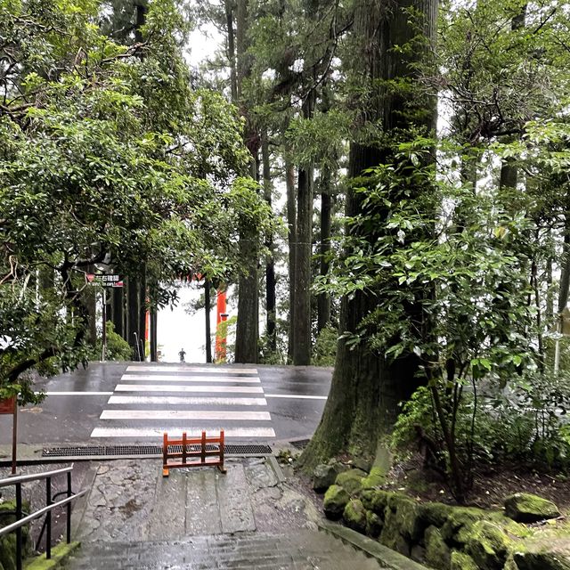 雨の中でも神々く紫陽花も綺麗な箱根神社