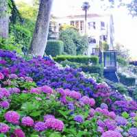  意大利 科莫湖 🔶 Villa Carlotta 