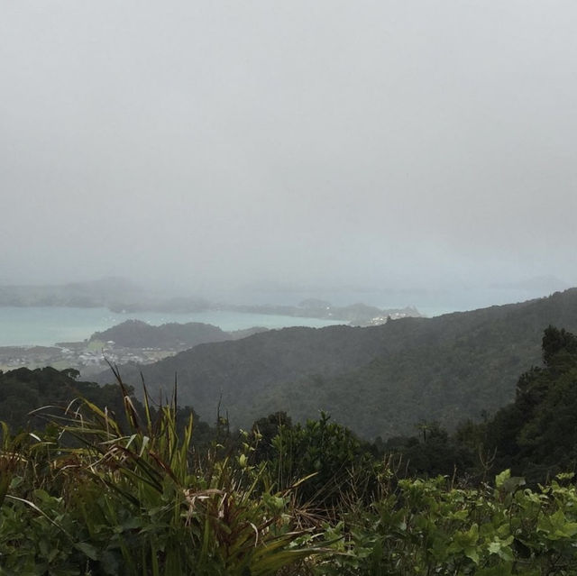 coromandel peninsula and hot water beach