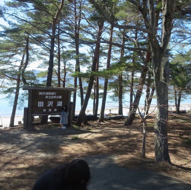 【秋田県】日本百景に選ばれた美しい湖へ